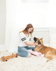 Zippy Paws - Jigglerz - Bunny -
