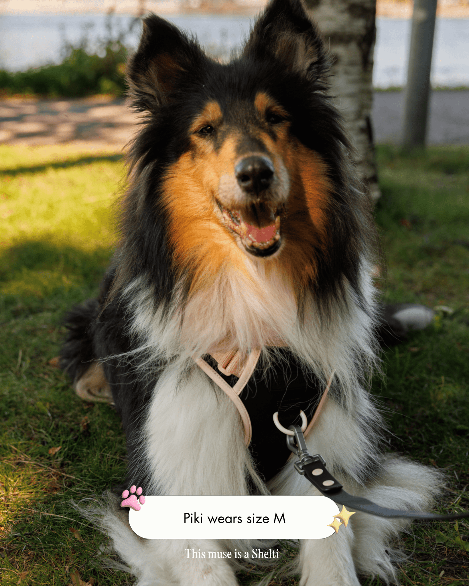 Furry Muse - Wander! Bow Harness - Ballerina -