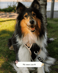 Furry Muse Starter Kit - Ballerina - FURRY MUSE Merry-Kit-BK-XS-S