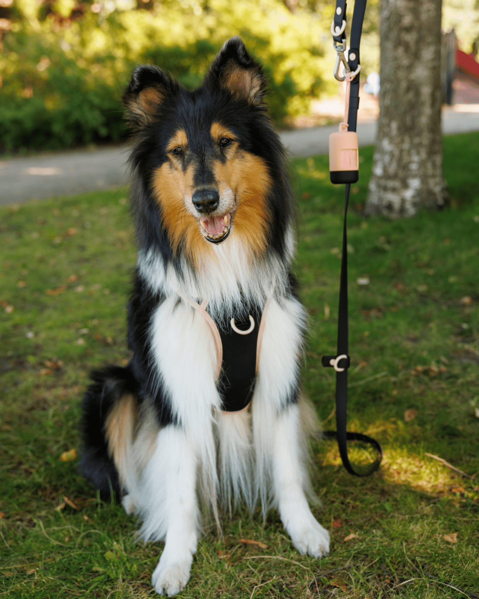 Furry Muse - Wander! Multiway Leash - Ballerina -