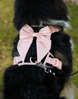 Furry Muse Starter Kit - Ballerina - FURRY MUSE Merry - Kit - BK - XS - S