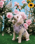 Furry Muse Starter Kit - Lilac - FURRY MUSE