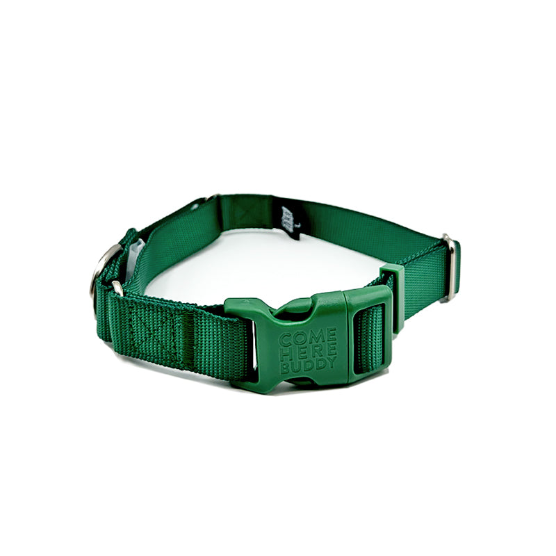 Come Here Buddy - Martingale Dog Collar - Green