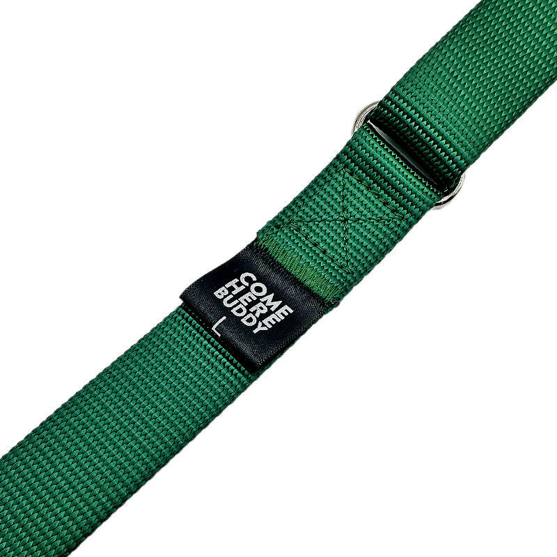 Come Here Buddy - Martingale Dog Collar -