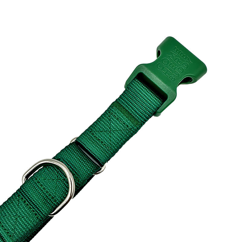 Come Here Buddy - Martingale Dog Collar -
