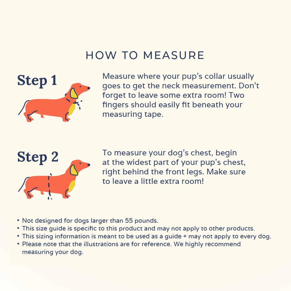 Lucy &amp; Co. - Making Magic Reversible Harness -