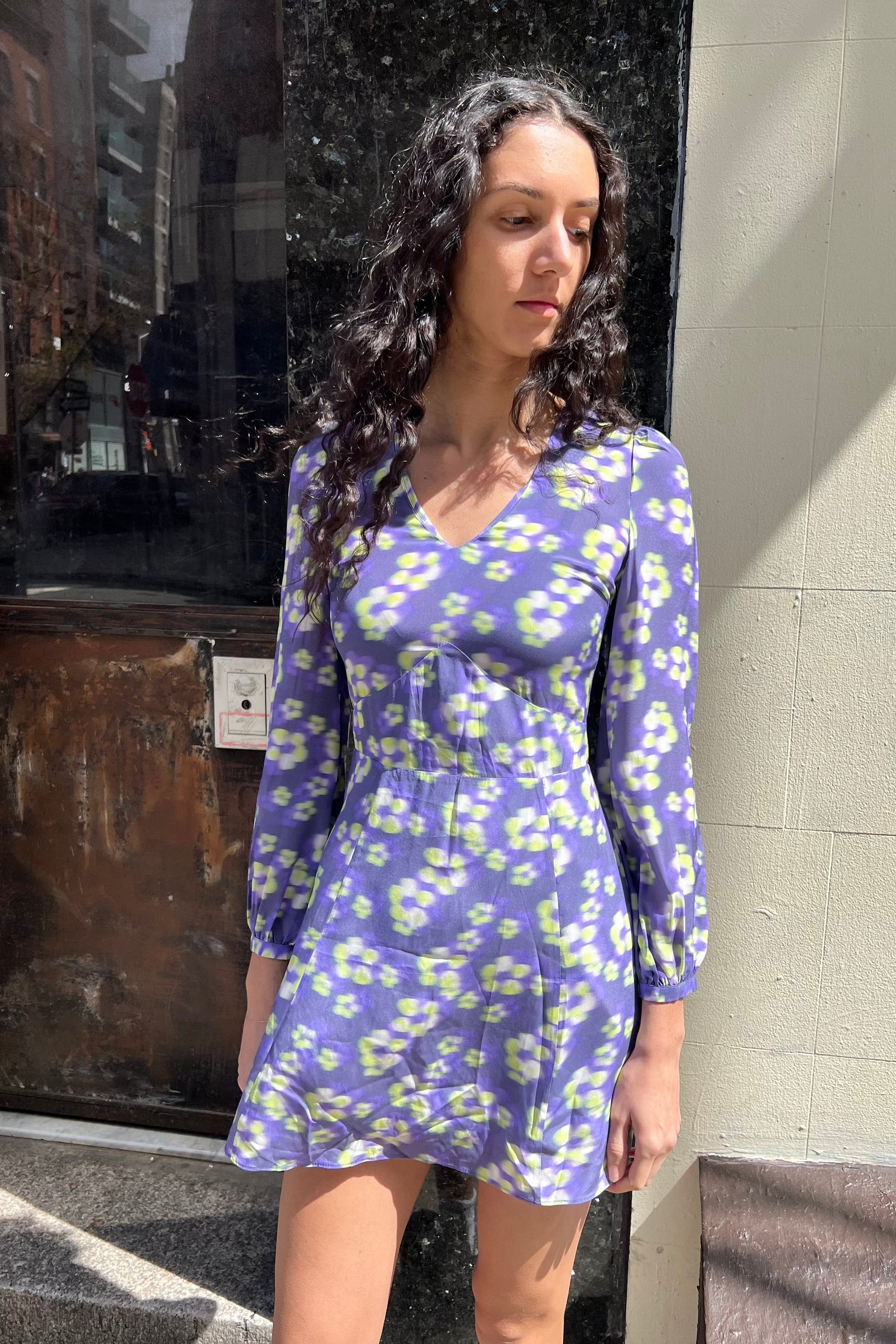 WRAY - Mini Dress – Daisy Blur -