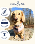 Lucy & Co. - In the Clouds Collar -