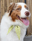 MODERNBEAST - Classic Necktie -