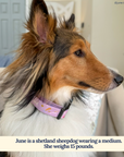 Lucy & Co. - Making Magic Collar -