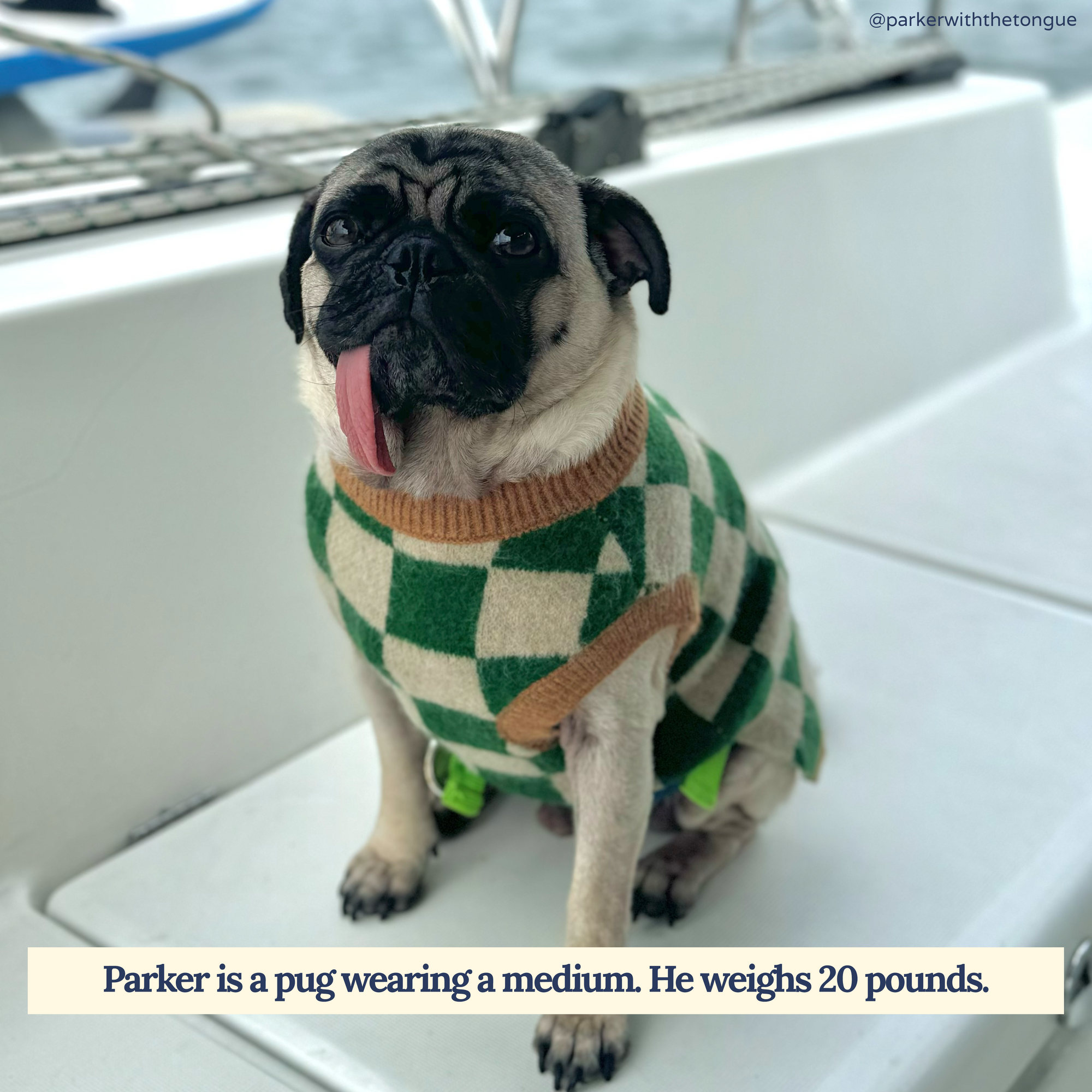 You&#39;re a Square Sweater