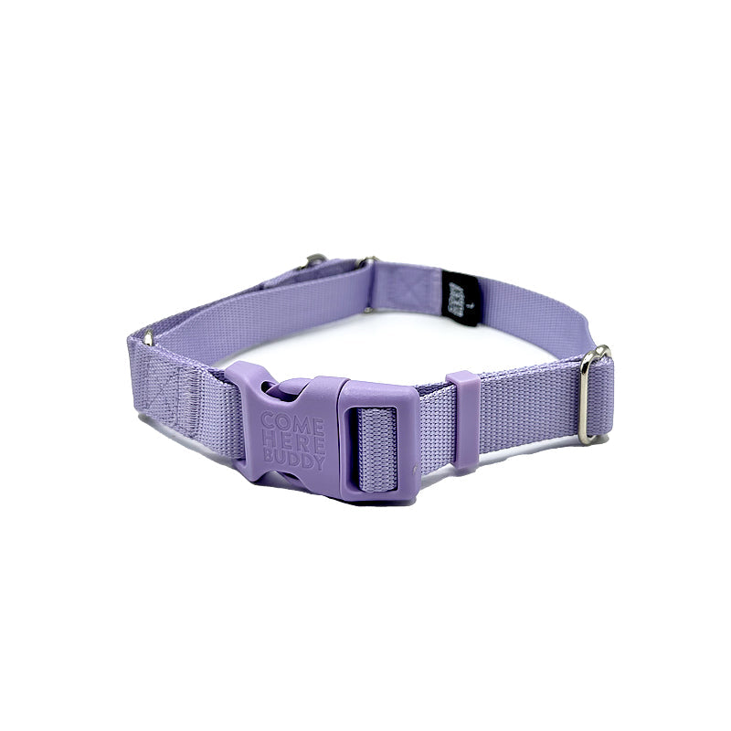 Come Here Buddy - Martingale Dog Collar - Lilac