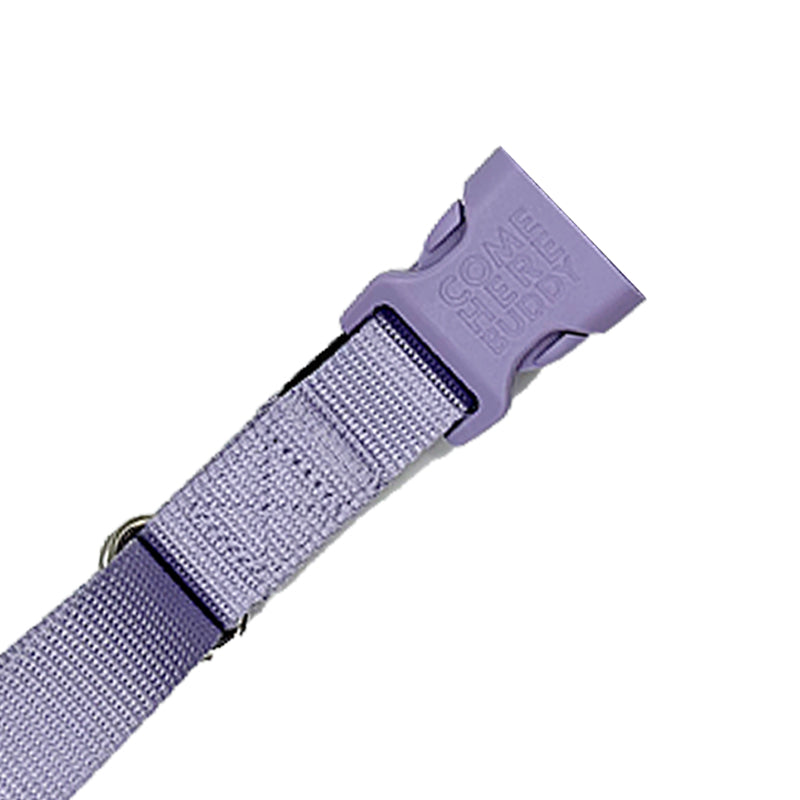 Come Here Buddy - Martingale Dog Collar -