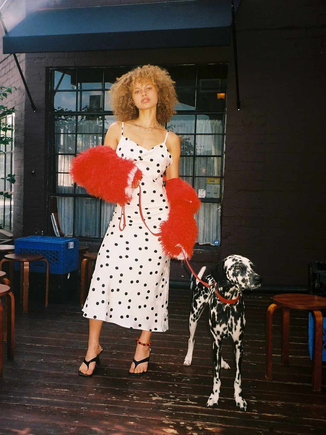 Lisa Says Gah - Griffin Dress - White Dot -