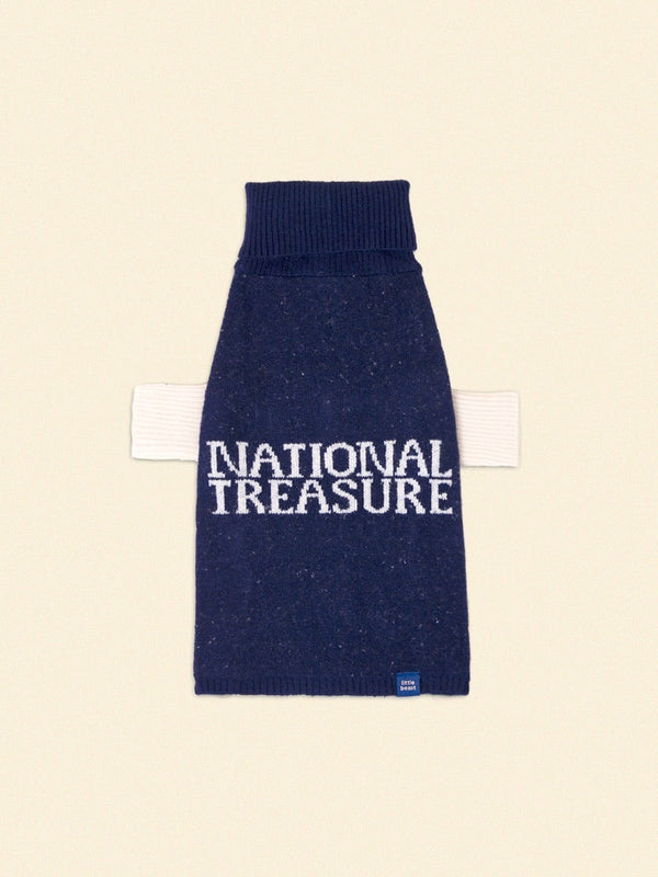 National Treasure Pet Sweater