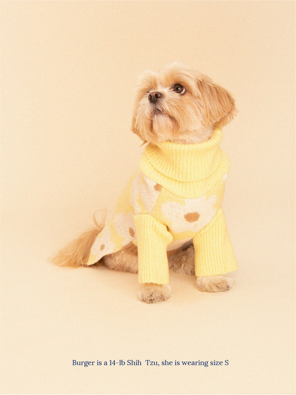 Sunny Side Pet Sweater