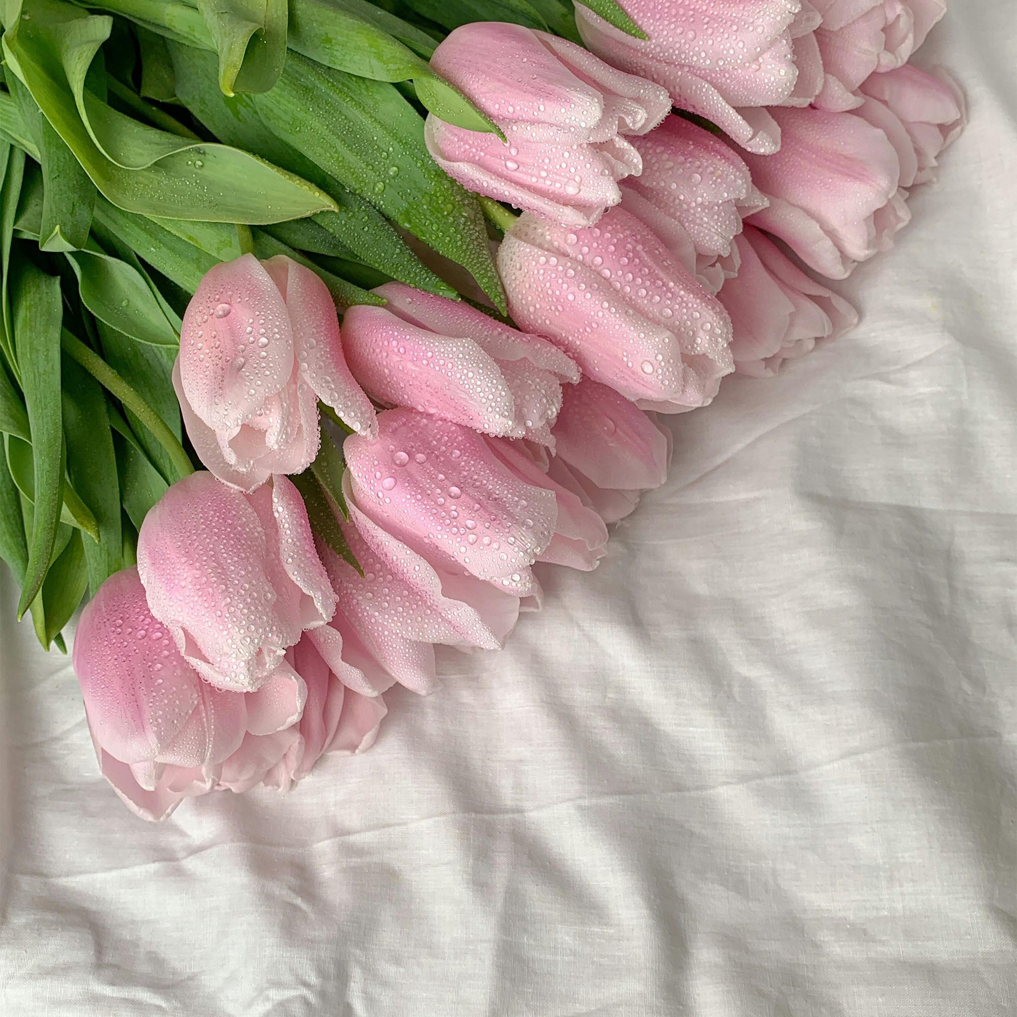 Vitruvi - Clean Laundry Air Scent Refill -