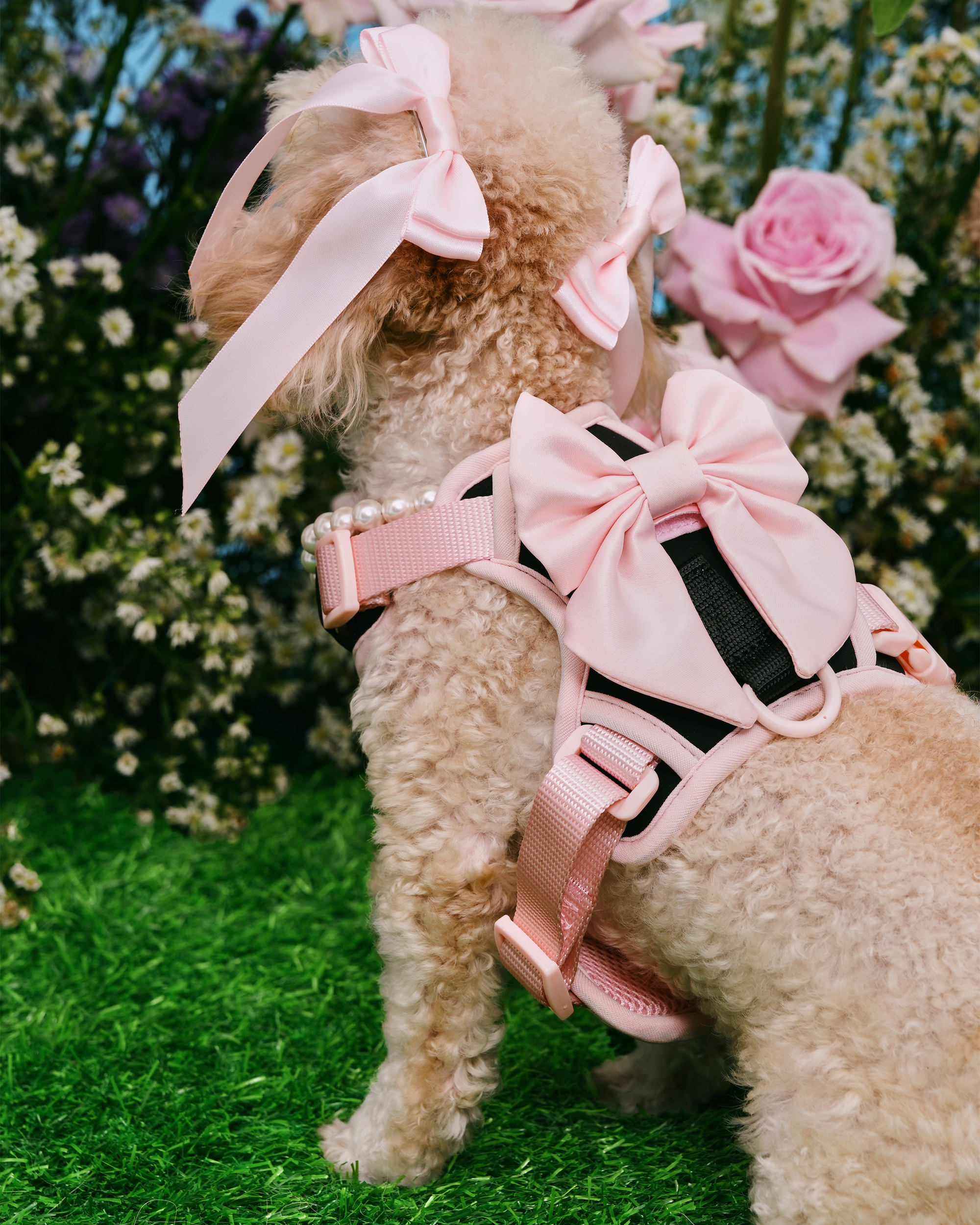Furry Muse - Wander! Bow Harness - Ballerina -
