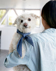 MODERNBEAST - Classic Necktie -