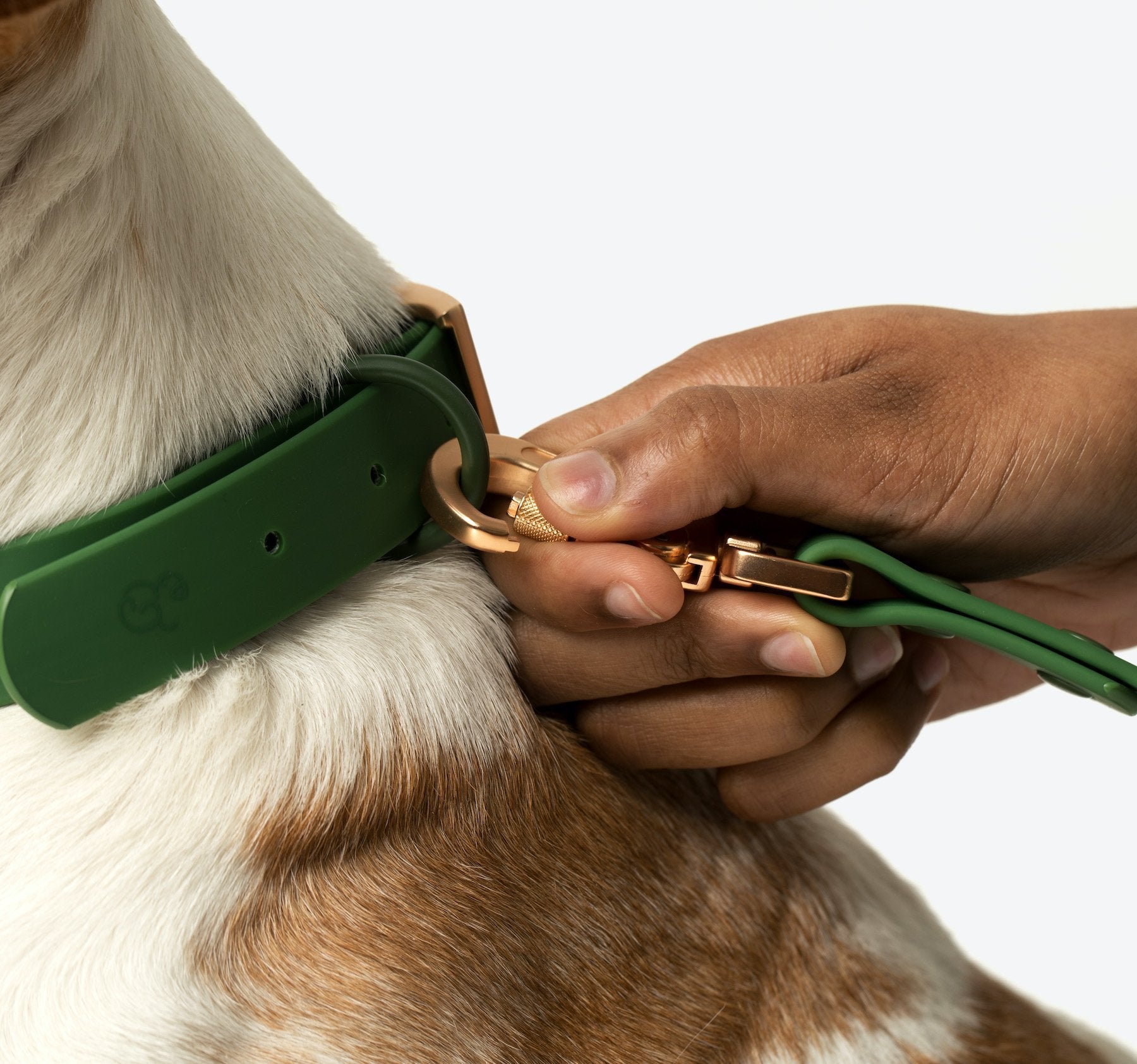 Waterproof PVC Collar - Pine