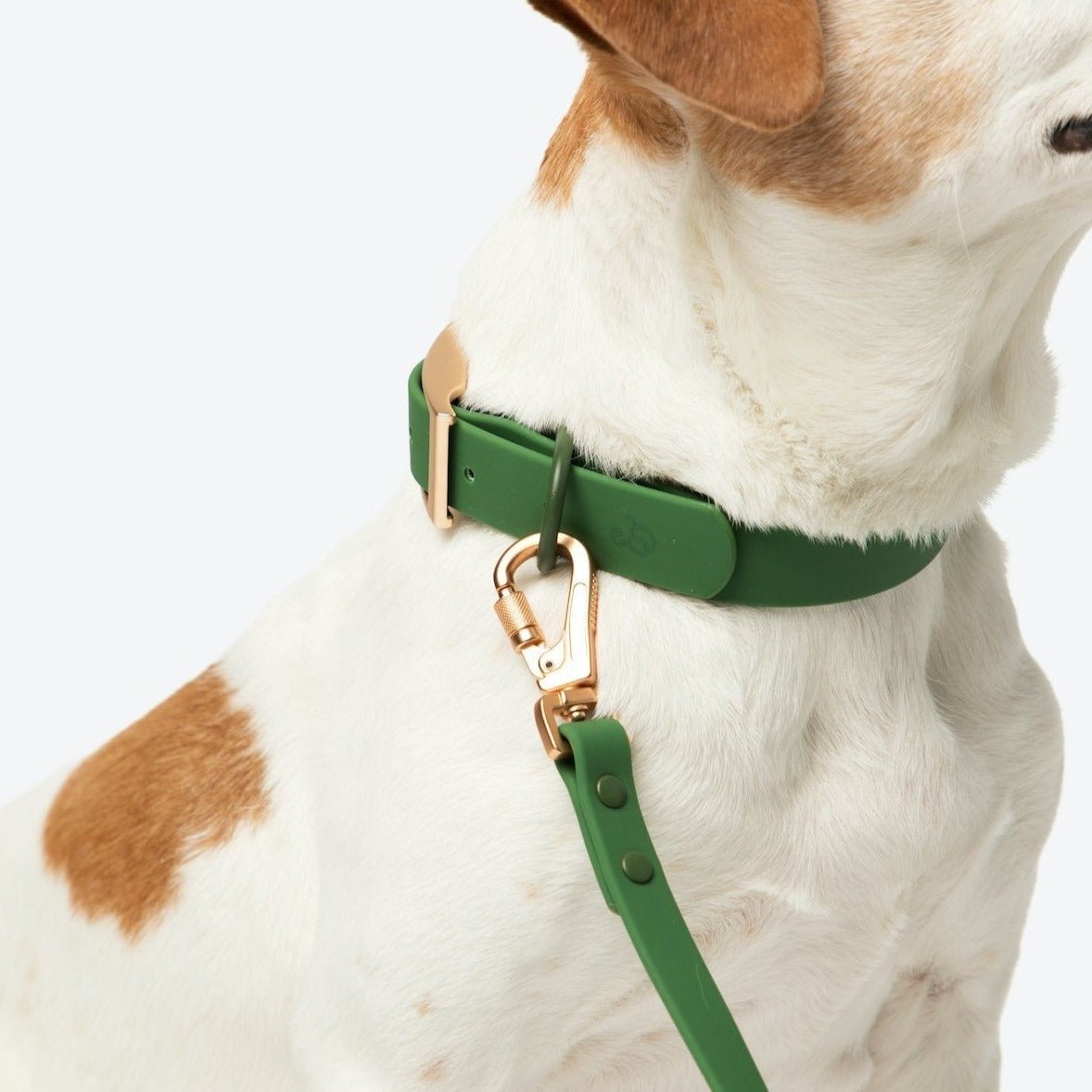 Waterproof PVC Collar - Pine