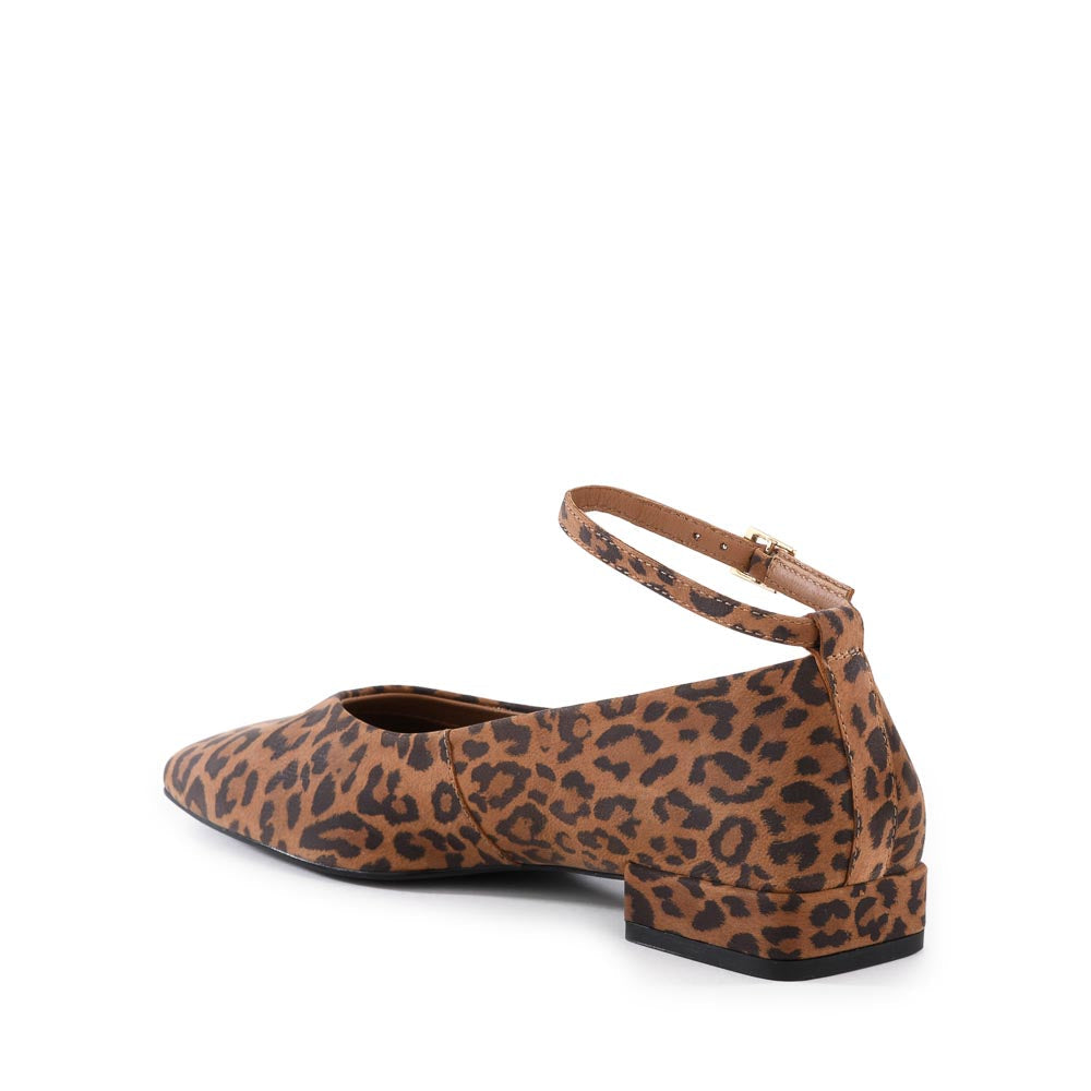 Seychelles - Pumpkin Flat - Leopard -