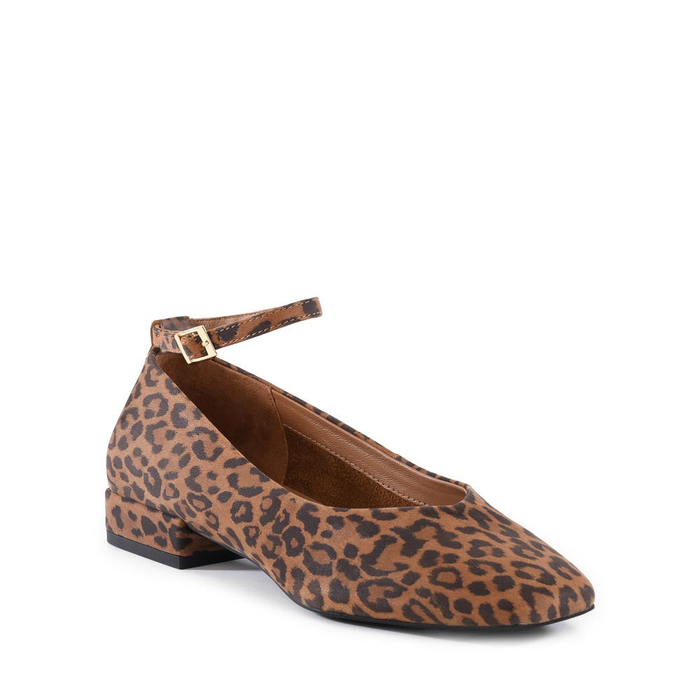 Seychelles - Pumpkin Flat - Leopard -