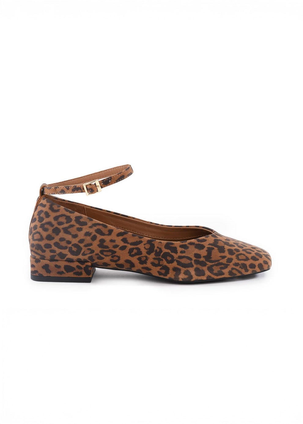 Seychelles - Pumpkin Flat - Leopard -