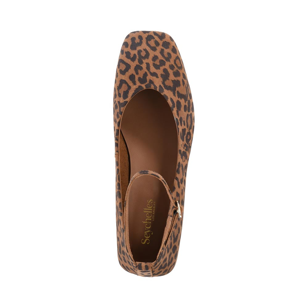 Seychelles - Pumpkin Flat - Leopard -