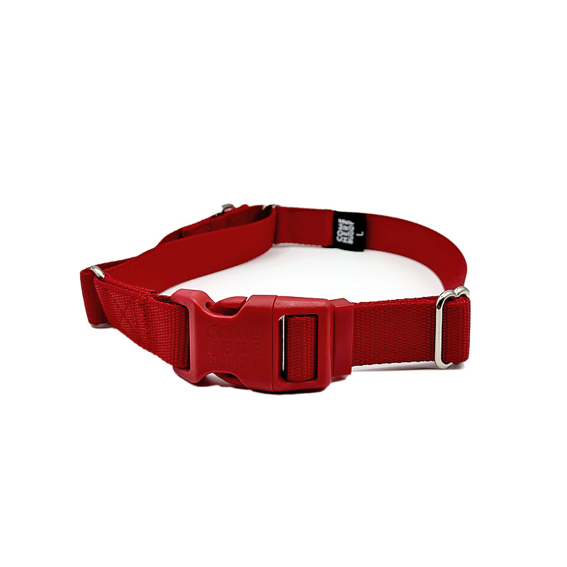Come Here Buddy - Martingale Dog Collar - Red