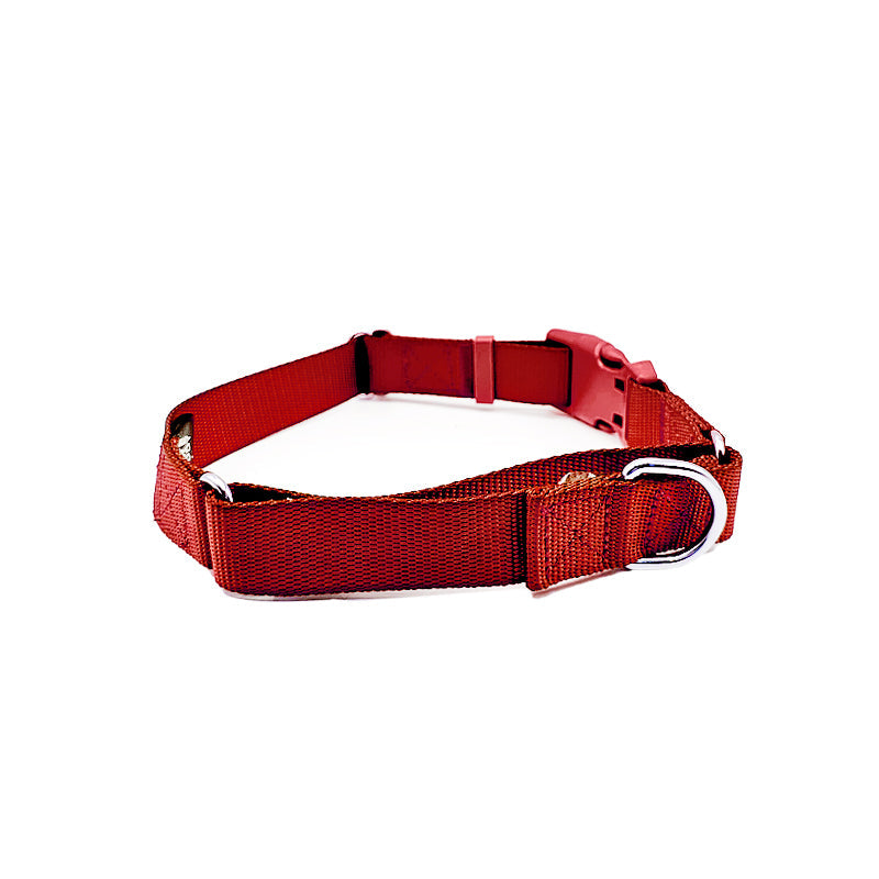 Come Here Buddy - Martingale Dog Collar -