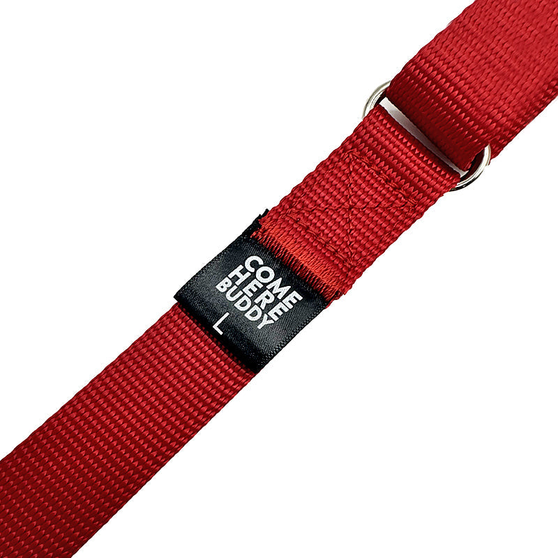Come Here Buddy - Martingale Dog Collar -
