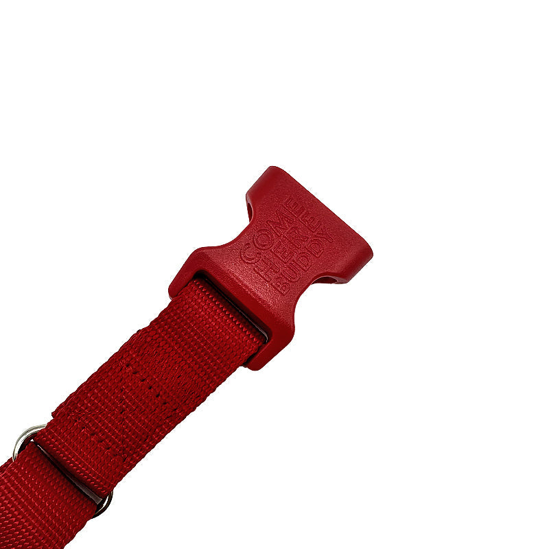 Come Here Buddy - Martingale Dog Collar -