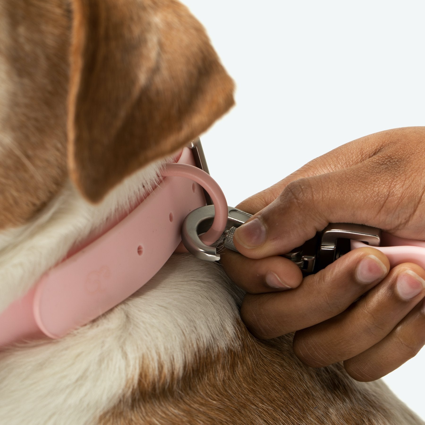 Waterproof PVC Collar - Rosewater