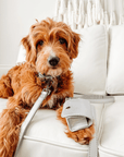 Shine 3 - in - 1 Metallic Vegan Leather Leash & Poop Pouch - Furry Muse SHI - LEA - OS - SV