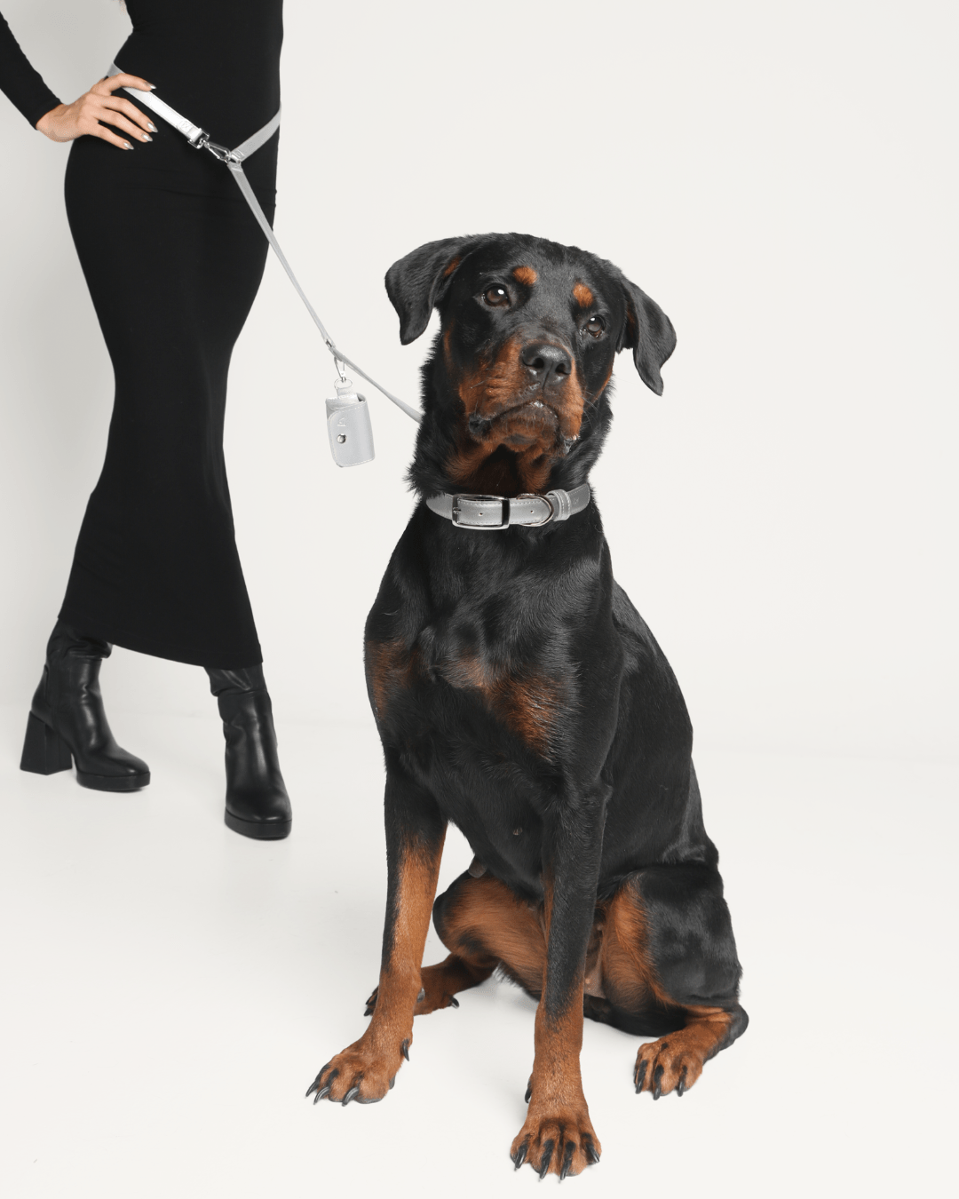 Furry Muse - Shine Metallic Leather Collar -