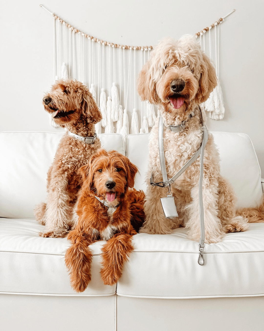 Furry Muse - Shine Multiway Metallic Leather Leash &amp; Poop Bag Pouch -