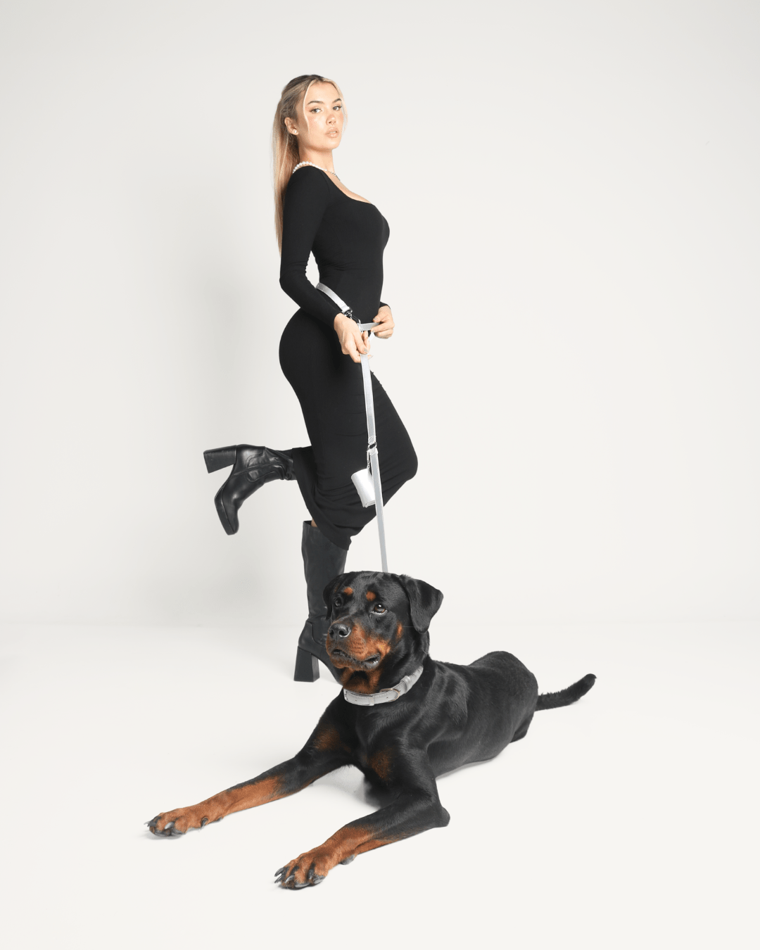 Furry Muse - Shine Multiway Metallic Leather Leash &amp; Poop Bag Pouch -