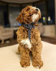 MODERNBEAST - Classic Necktie -