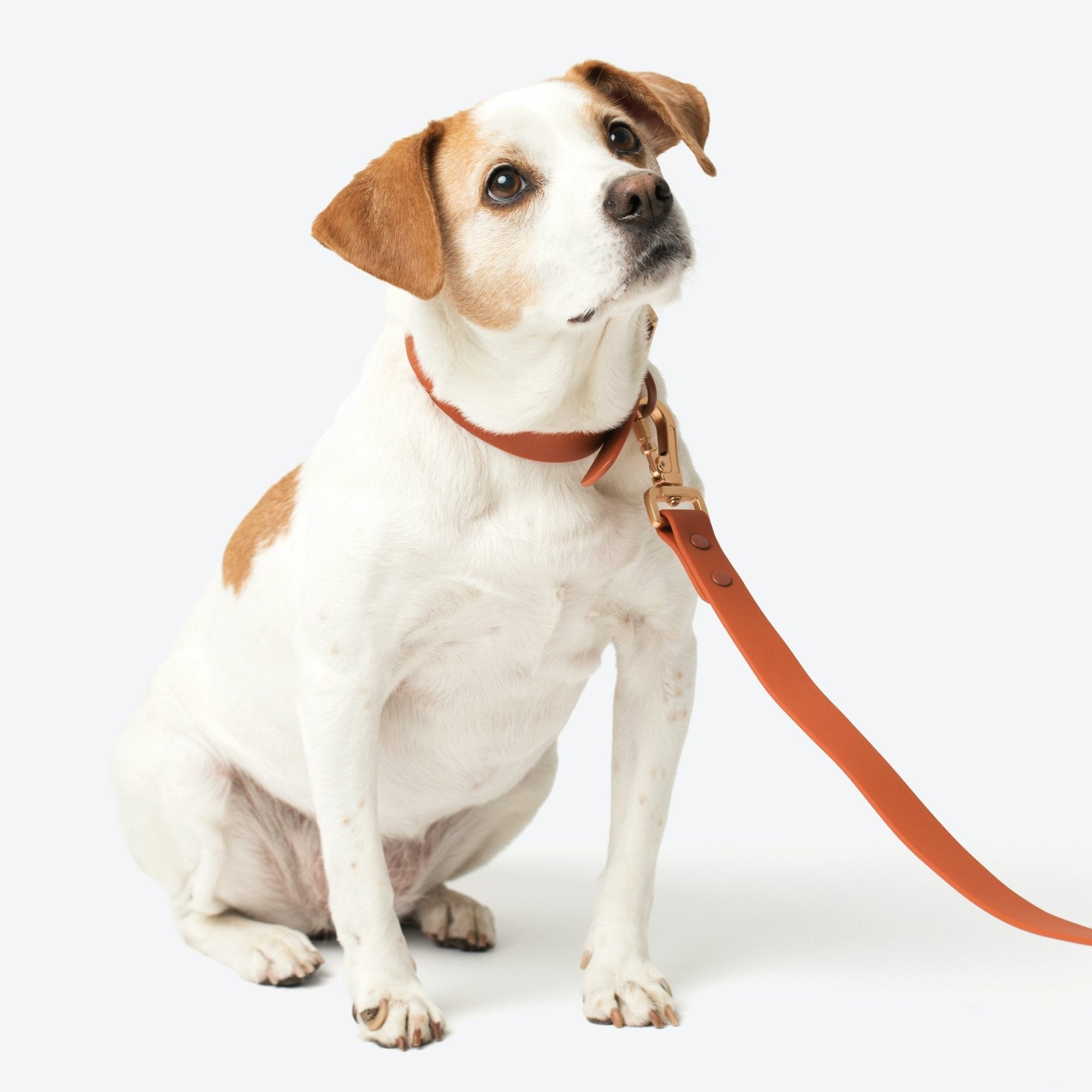 Waterproof PVC Collar - Terracotta