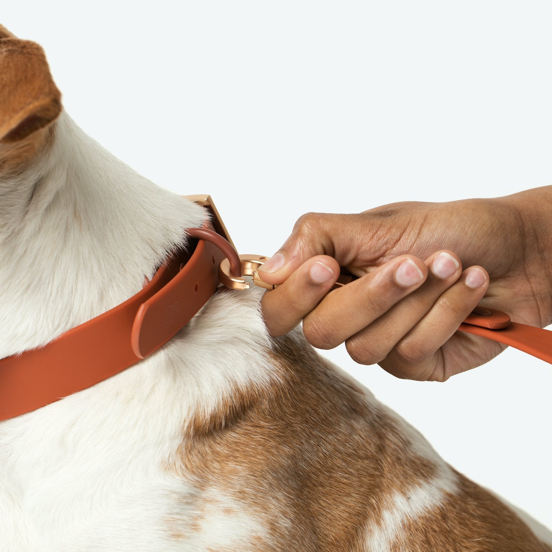 Waterproof PVC Collar - Terracotta
