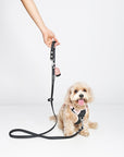 Wander Ballerina Multiway DuraWeave Leash & Poop Pouch - Furry Muse WAN-LEA-OS-BK