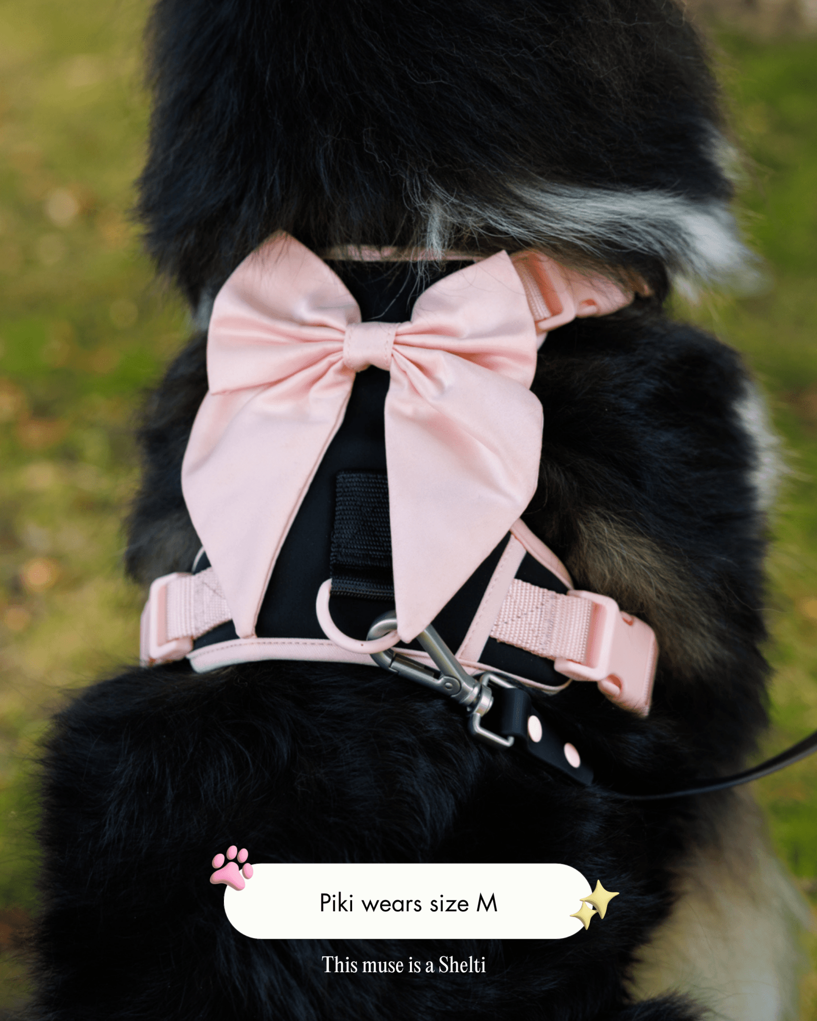 Furry Muse - Wander! Bow Harness - Ballerina -