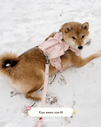Wander! Bow Harness Kit Blossom - Silver - FURRY MUSE WAN-BOW-HKIT-XXS-SI-PN-6FT