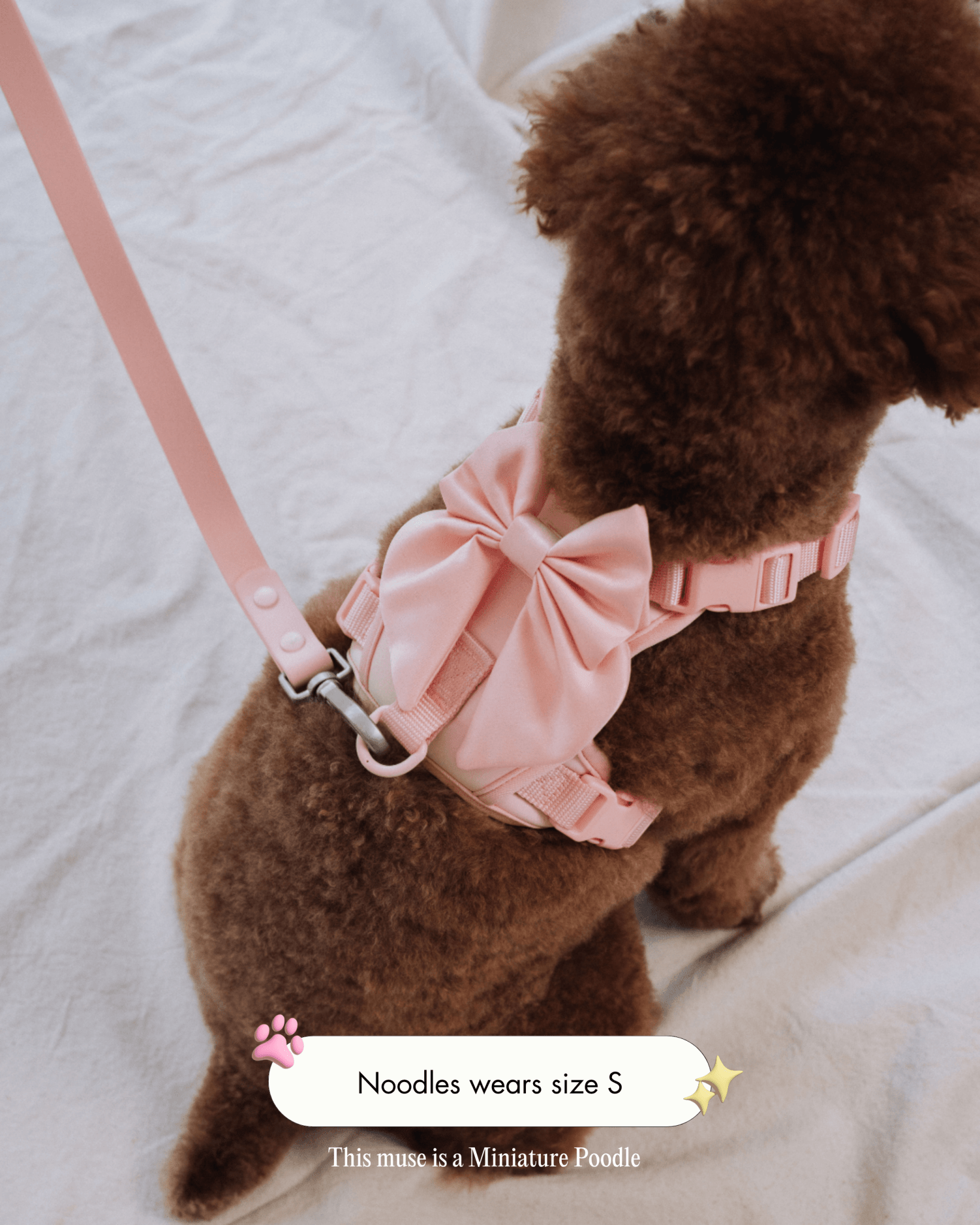 Wander! Bow Harness Kit Blossom - Silver - FURRY MUSE WAN-BOW-HKIT-XXS-SI-PN-6FT