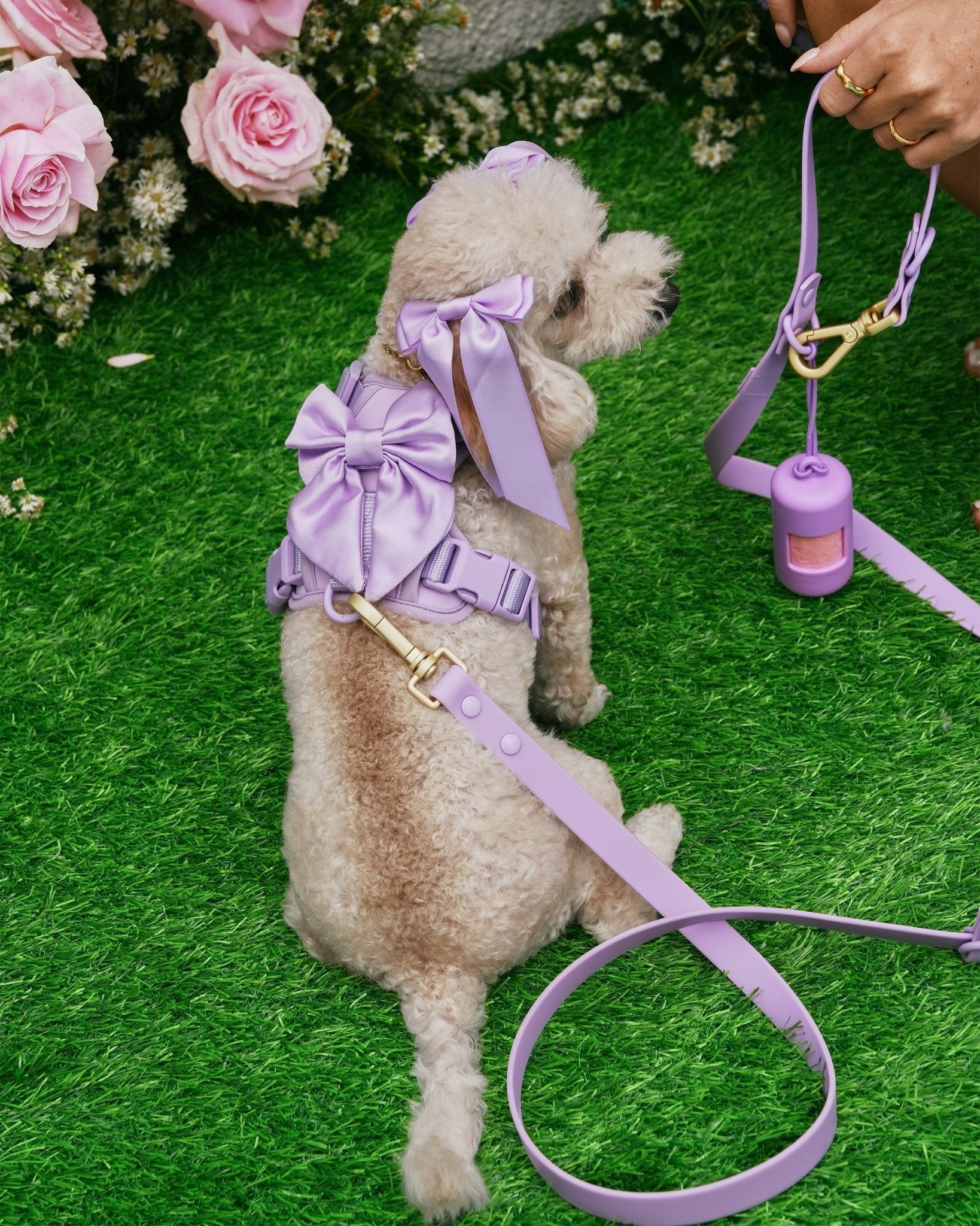 Furry Muse - Wander! Bow Harness - Lilac -