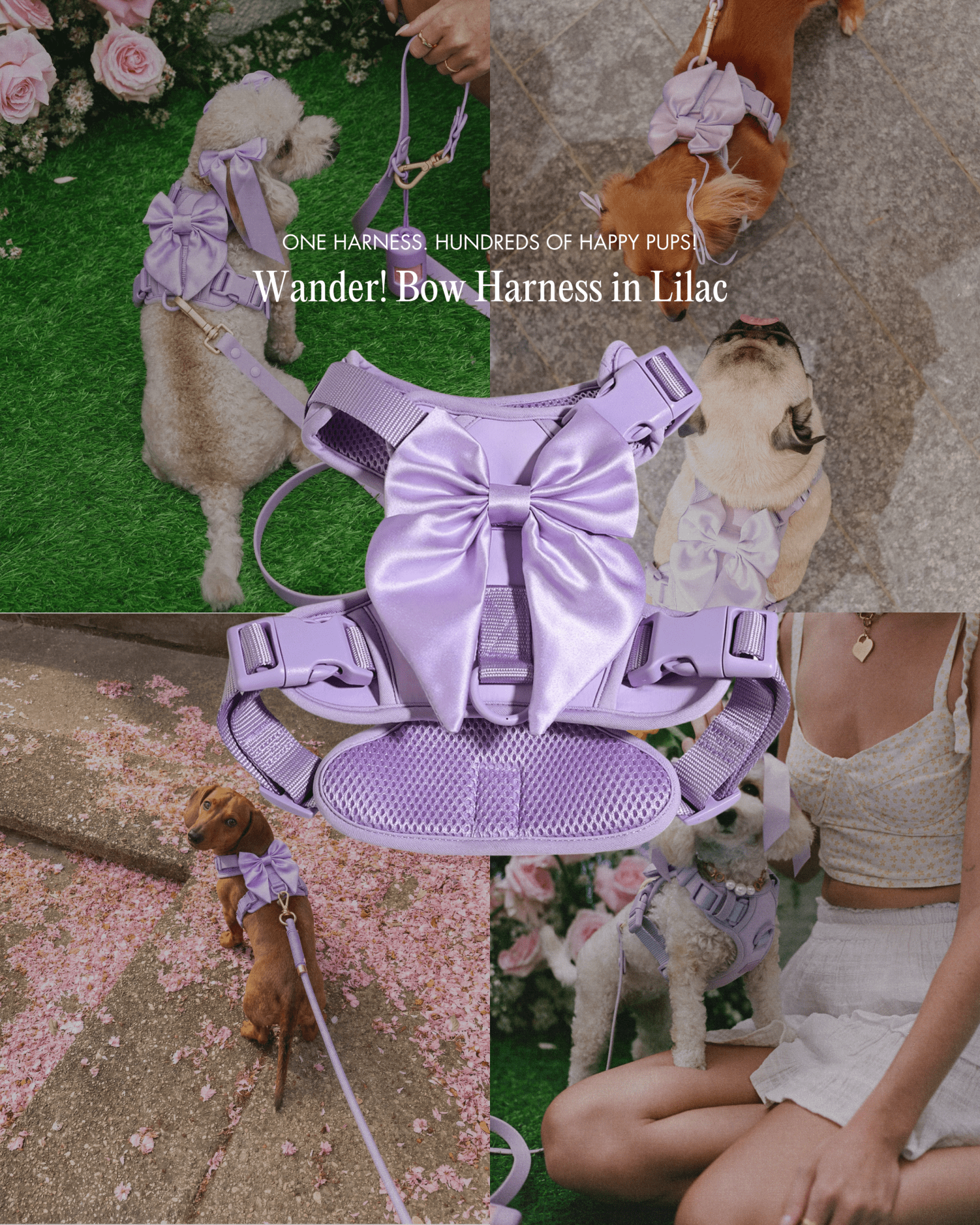 Furry Muse - Wander! Bow Harness - Lilac -