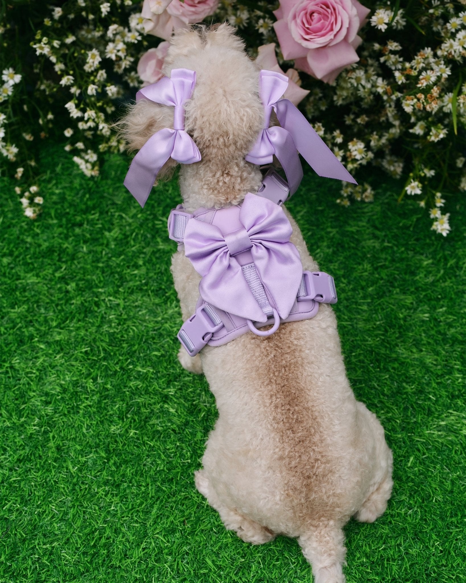 Furry Muse - Wander! Bow Harness - Lilac -