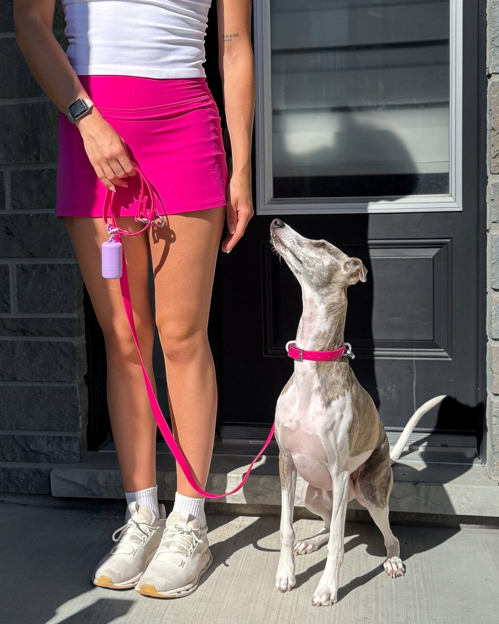 Furry Muse - Wander! Waterproof Collar - Bubblegum -