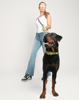 Wander! Multiway Waterproof Leash Martini - FURRY MUSE WAN - LEA - OS - OL